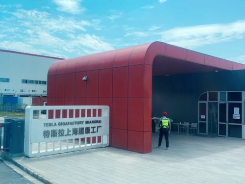 特斯拉關鍵數據與證詞沖突解析 如何破解上?！傲_生門”